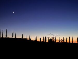 turismo-del-vino-in-Toscana-inverno