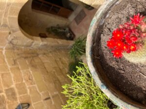Gozo-la -casa-di carlo-e-Donatella-Cinelli Colombini