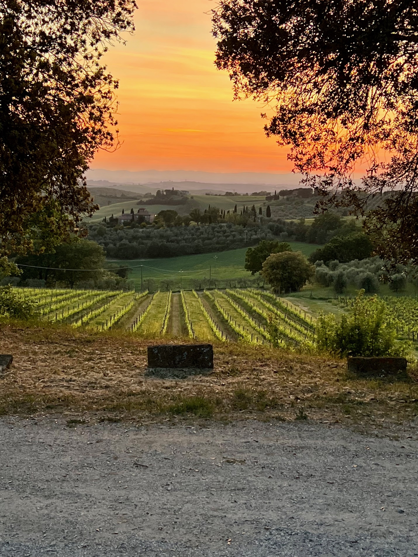 turismo-del-vino-in-Toscana-primavera