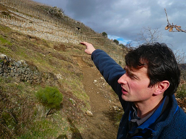 Jean Louis Chave Hermitage, Rodano