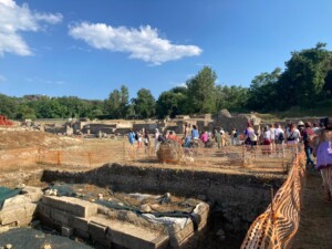 Antico vigneto negli scavi archeologici in Campania