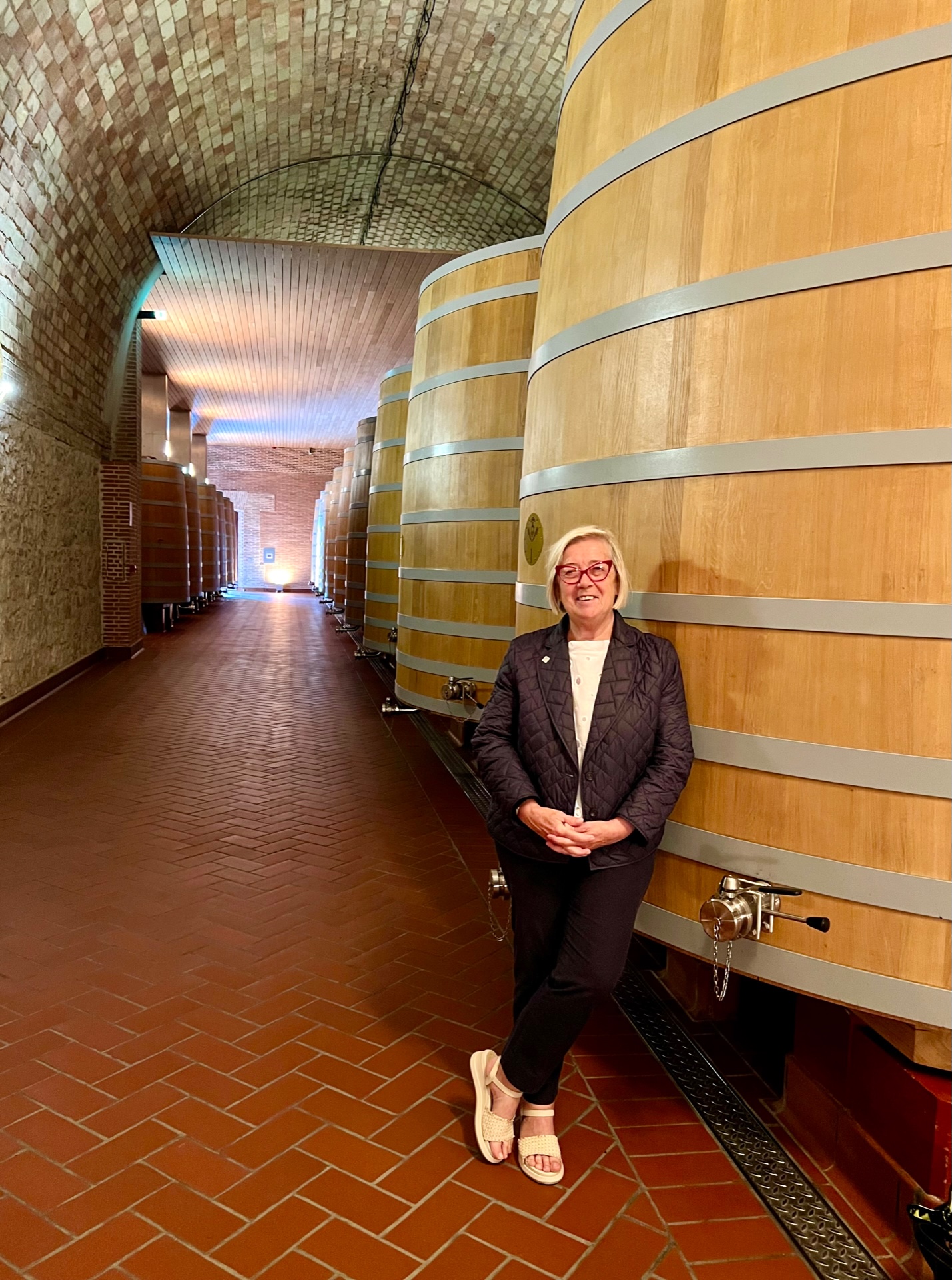 Ribera-del-Duero-Castillo-de-Peñafiel-Donatella-Cinelli-Colombini-Carlo-Gardini