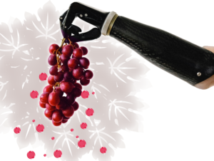 Saranno-famosi-nel-vino