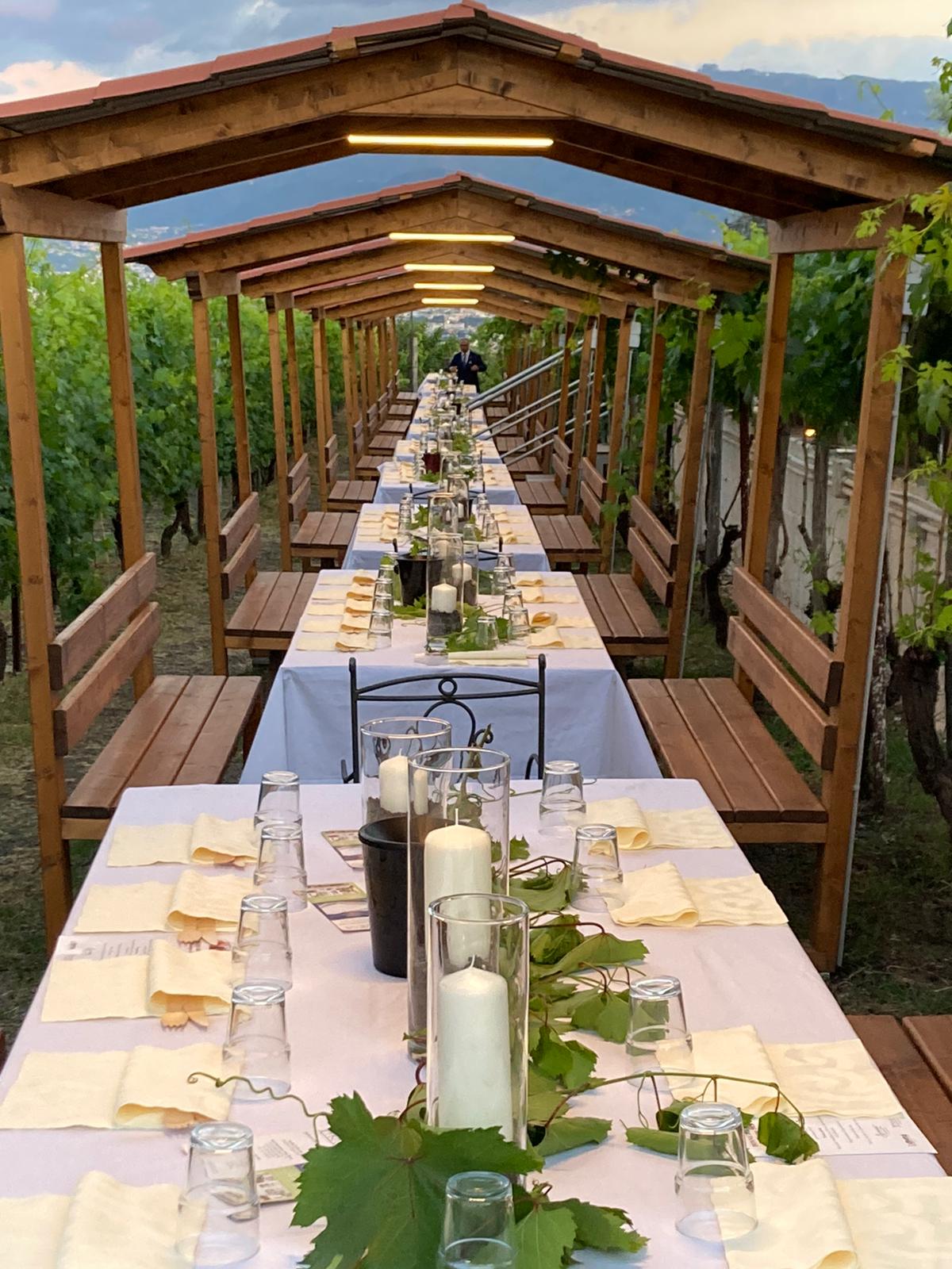 Turismo-del-vino-cantine-aperte- Sorrentino-vini-Campania
