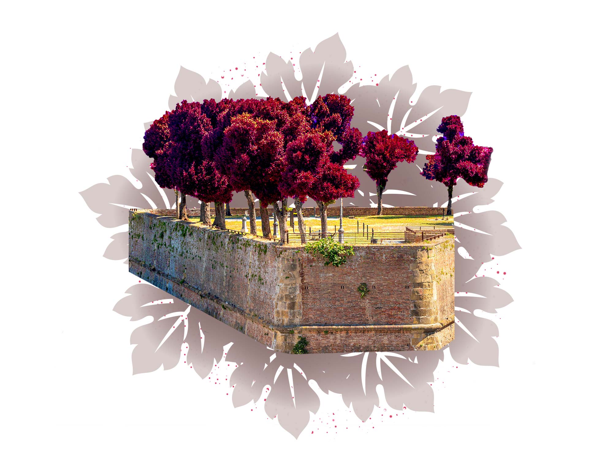 Saranno-famosi-nel-vino