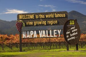 Napa-Velley-regione-del-vino-dove-sarebbe-dovuto-nascere-il-parco-della-birra