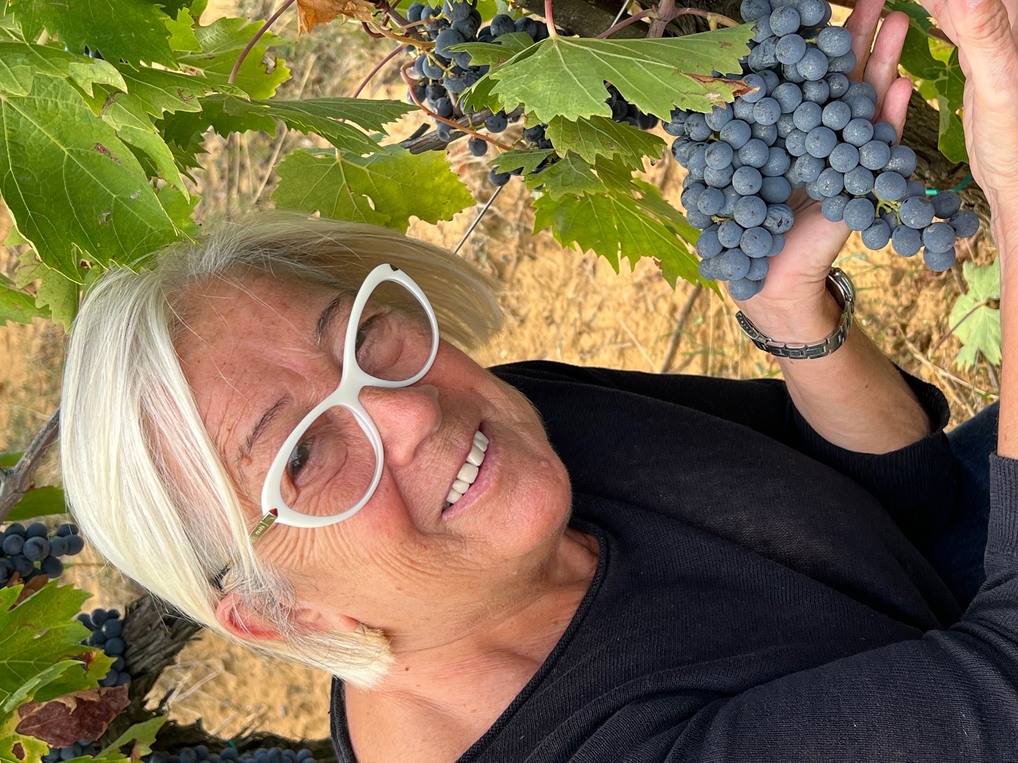 sangiovese-Donatella-Cinelli-Colombini