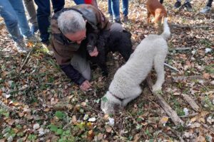Fattoria-del-Colle-caccia-al-tartufo