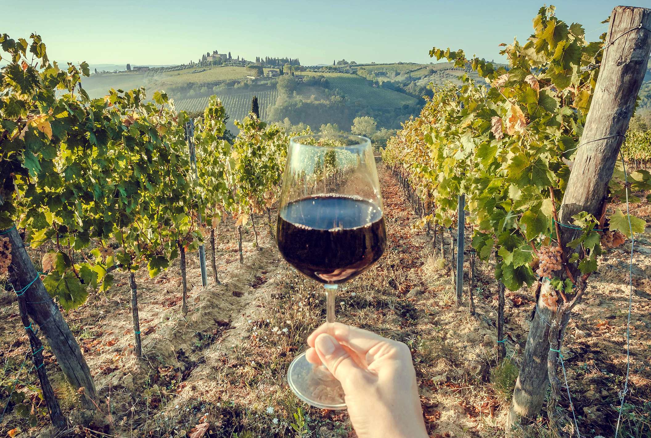 DONI DELL’ENOTURISMO AL VINO ITALIANO