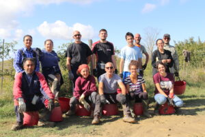 2020-vendemmia-Toscana-Fattoria-del-Colle