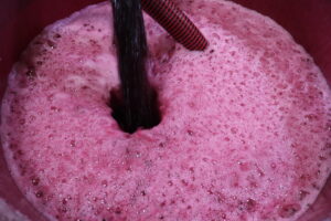 Vendemmia-2020-mosto-Fattoria-del-Colle-Toscana