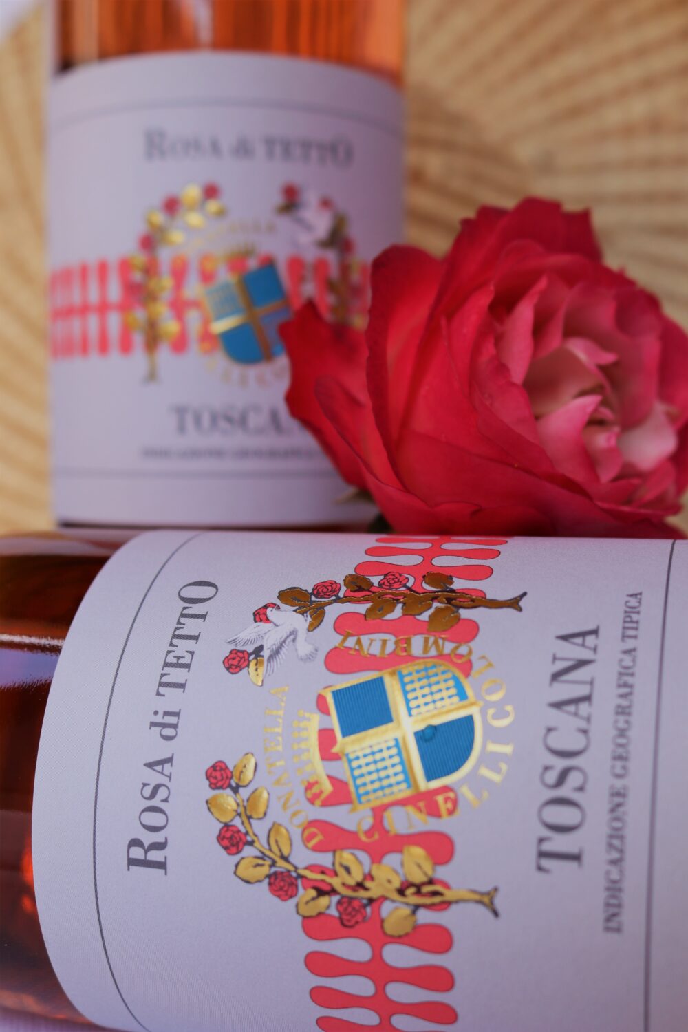 Rosa di Tetto