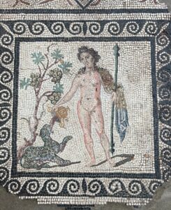 Vienne Museo Gallo Romano Dioniso