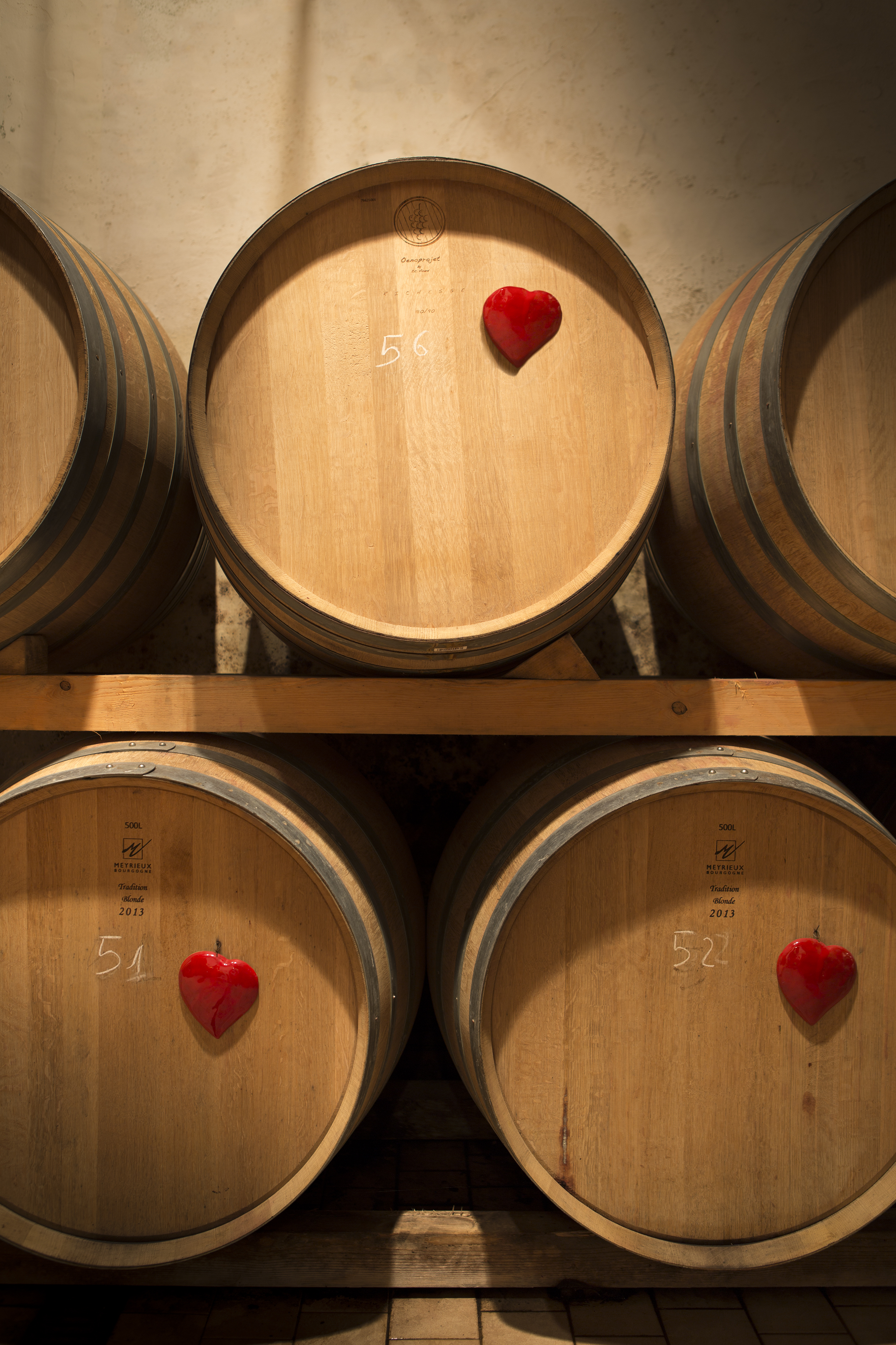 Champion Sommelier for a day