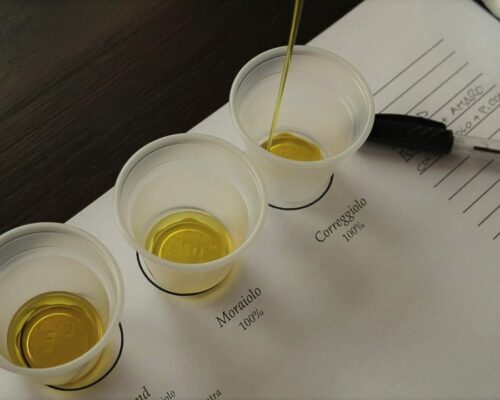Degustazione Olio Fattoria del Colle