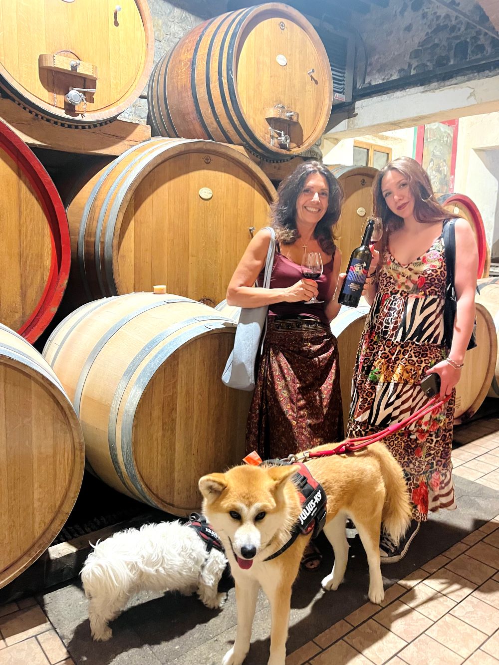 Calici di stelle 2023 dog-friendly