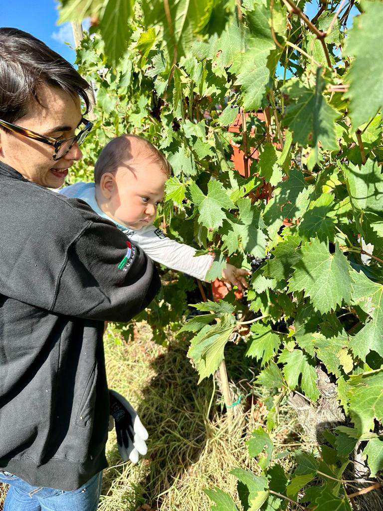 Vendemmia 2023 Violante Cinelli Colombini e Lorenzo con Sangiovese