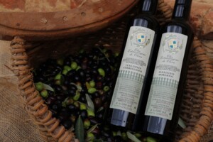 Olio monocultivar Moraiolo e Correggiolo 2023