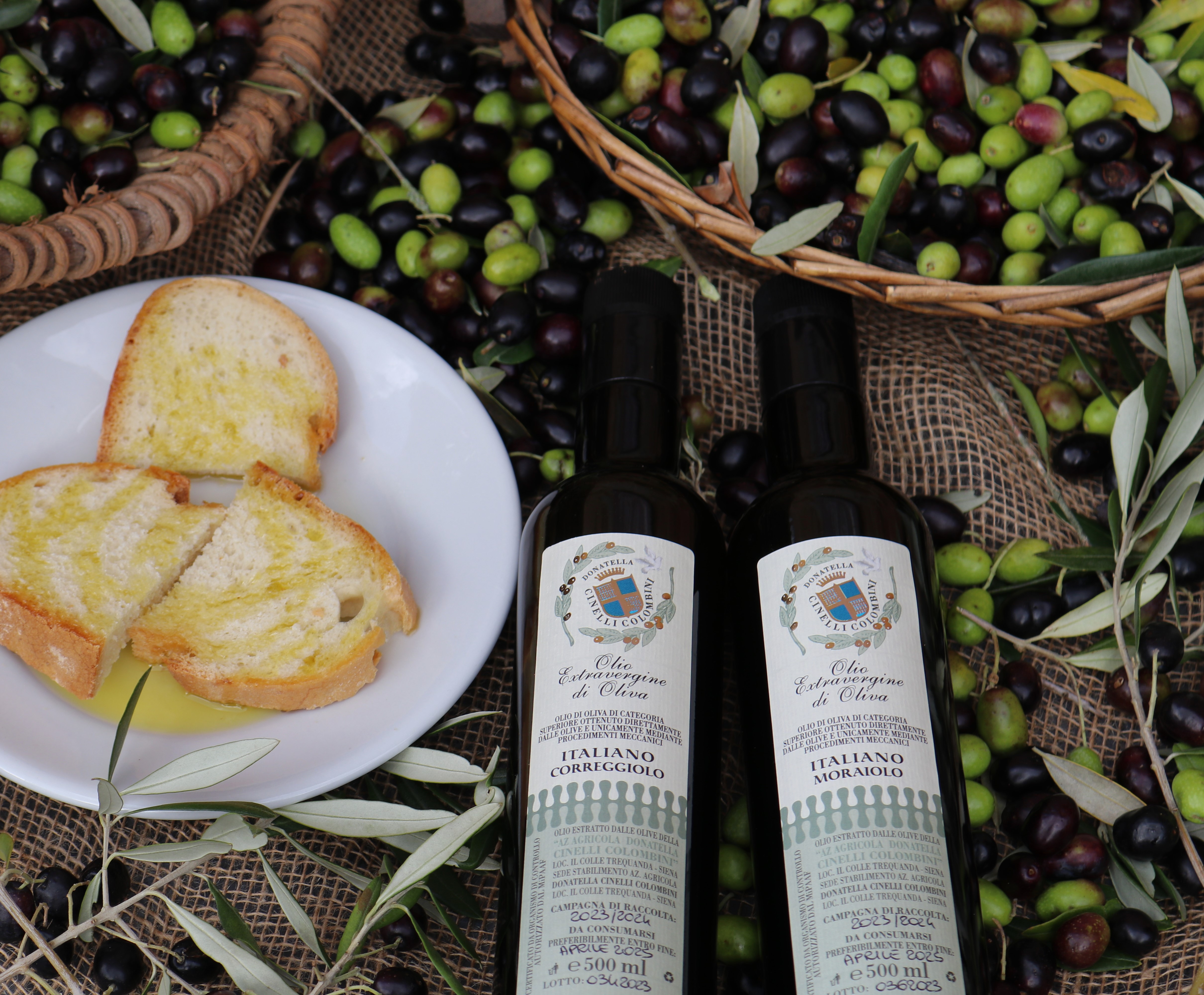 Olio monocultivar Moraiolo e Correggiolo 2023