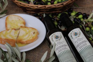 Il nuovo olio 2023 della Fattoria del Colle di Trequanda