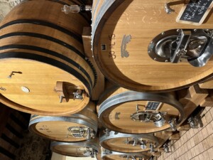 Casato Prime Donne a Montalcino