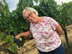 Montalcino vendemmia 2018 sengiovese Casato Prime Donne 