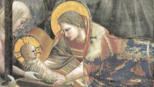 Natività Giotto Padova Cappella degli Scrovegni