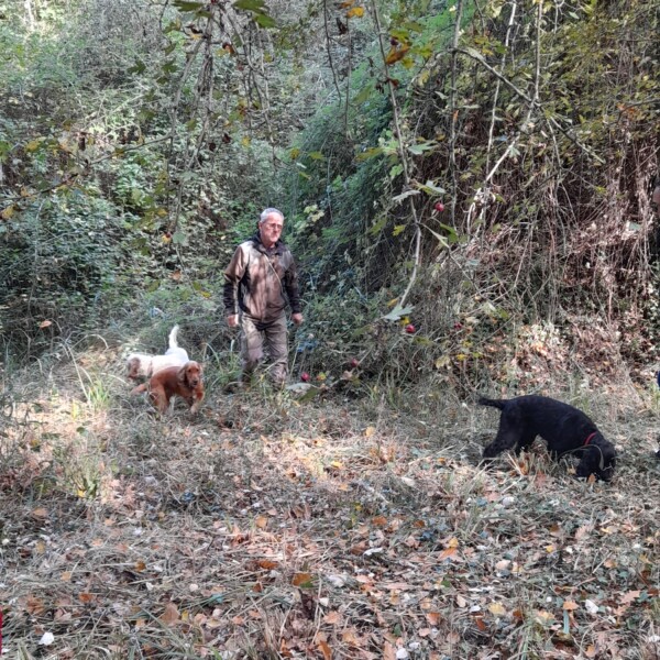 Riserva di tartufo fattoria del colle Riserva di tartufo fattoria del colle