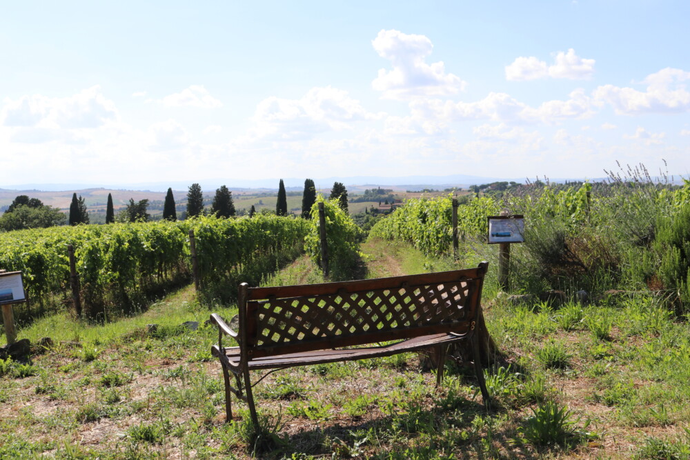 Fattoria del Colle primavera