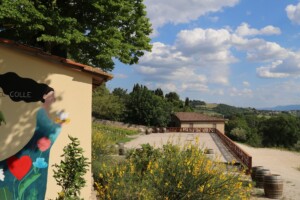 Fattoria del Colle terrazza panoramica sopra la cantina