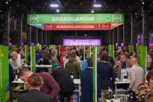 LE LANGHE NON SONO IN VENDITA