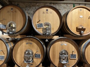 CASATO PRIME DONNE MONTALCINO