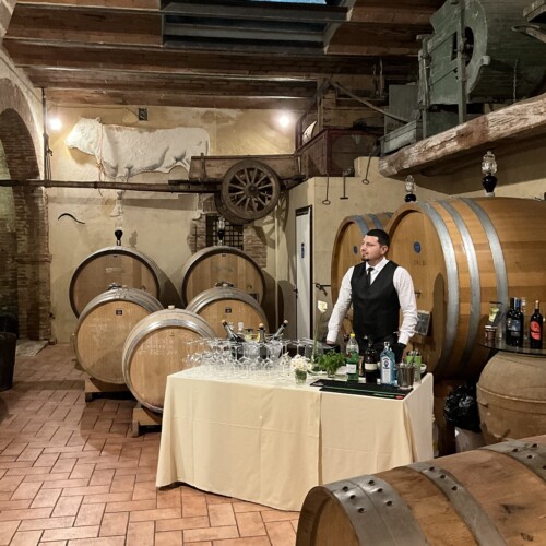 aperitive in the cellar