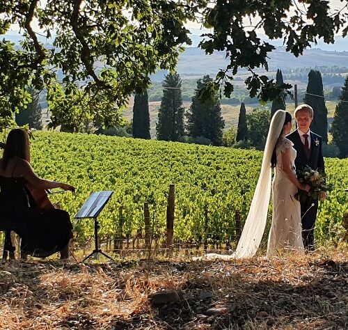 wedding among the vineyards