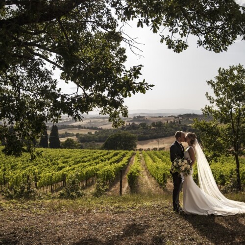 wedding in a winery