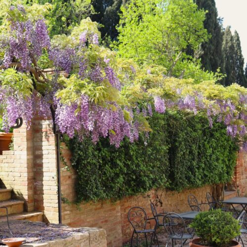 Cortile della Fattoria