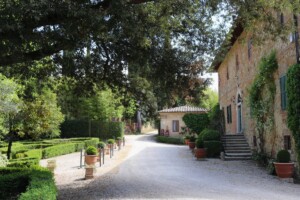 Fattoria del Colle - Trequanda