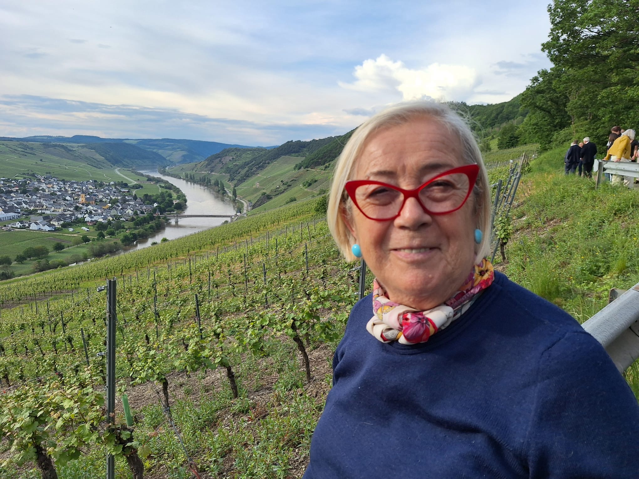 vigneti di riesling lungo la Mosella Donatella Cinelli Colombini