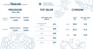 L’Area Studi Mediobanca Report 2024 sul vino