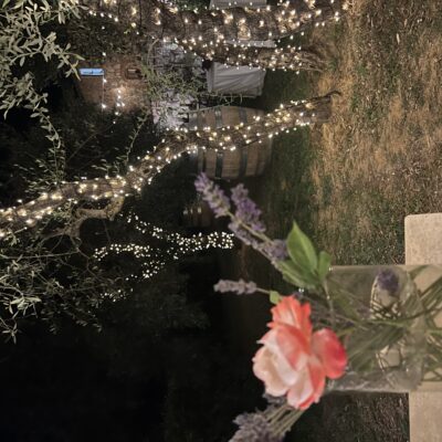 CALICI_DI_STELLE_LUCI_ULIVI
