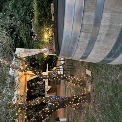CALICI_DI_STELLE_LUCI_ULIVI_E_BOTTE