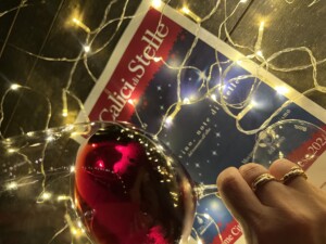 Calici di Stelle con Violate Gardini Cinelli Colombini presidente Movimento Turismo del Vino
