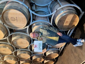 Tenuta San Guido Campione per remuneratività nella classifica di Anna Di Martino