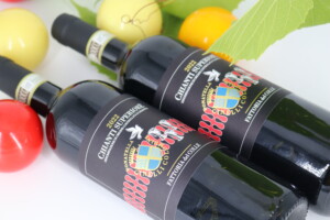 Chianti Superiore 2022 BIO