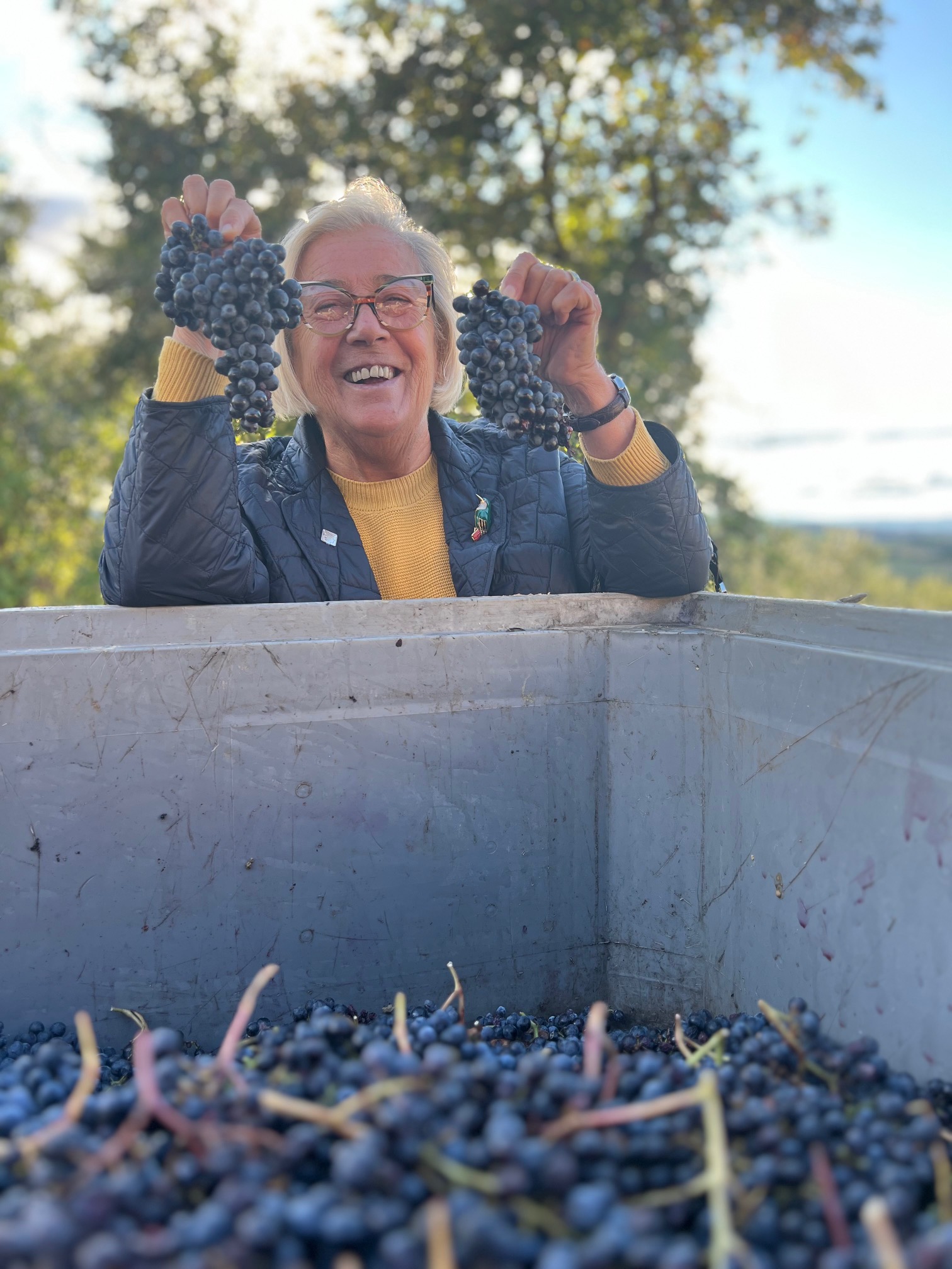 Brunello-Montalcino-vendemmia-2024-casato-prime-donne