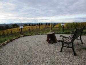 cantina con vista Toscana Fattoria del Colle