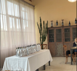 16 bianchi toscani in degustazione per scegliere il prossimo bianco della Fattoria del Colle