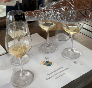 Vini bianchi diversi per scegliere il vitigno da piantare alla Fattoria del Colle
