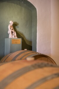Casato Prime Donne una cantina diversa da tutte le altre per le opere d'arte, la musica e le esperienze indimenticabili