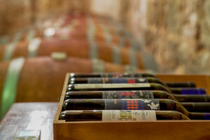 Il negozio di cantina Fattoria del Colle Toscana